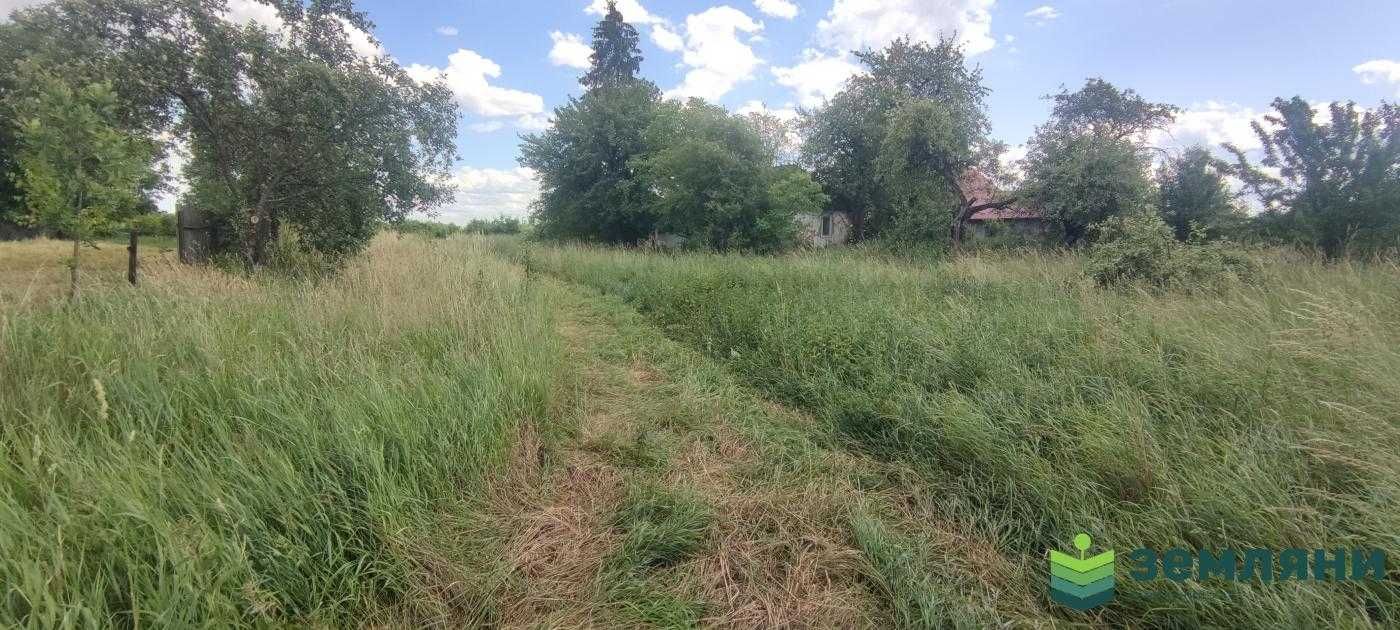 Продається будинок 47 м2 із ділянкою 43 сот у с. Липівка