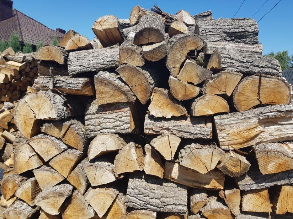 Drewno kominkowe dąb sosna, brzoza olcha grab buk