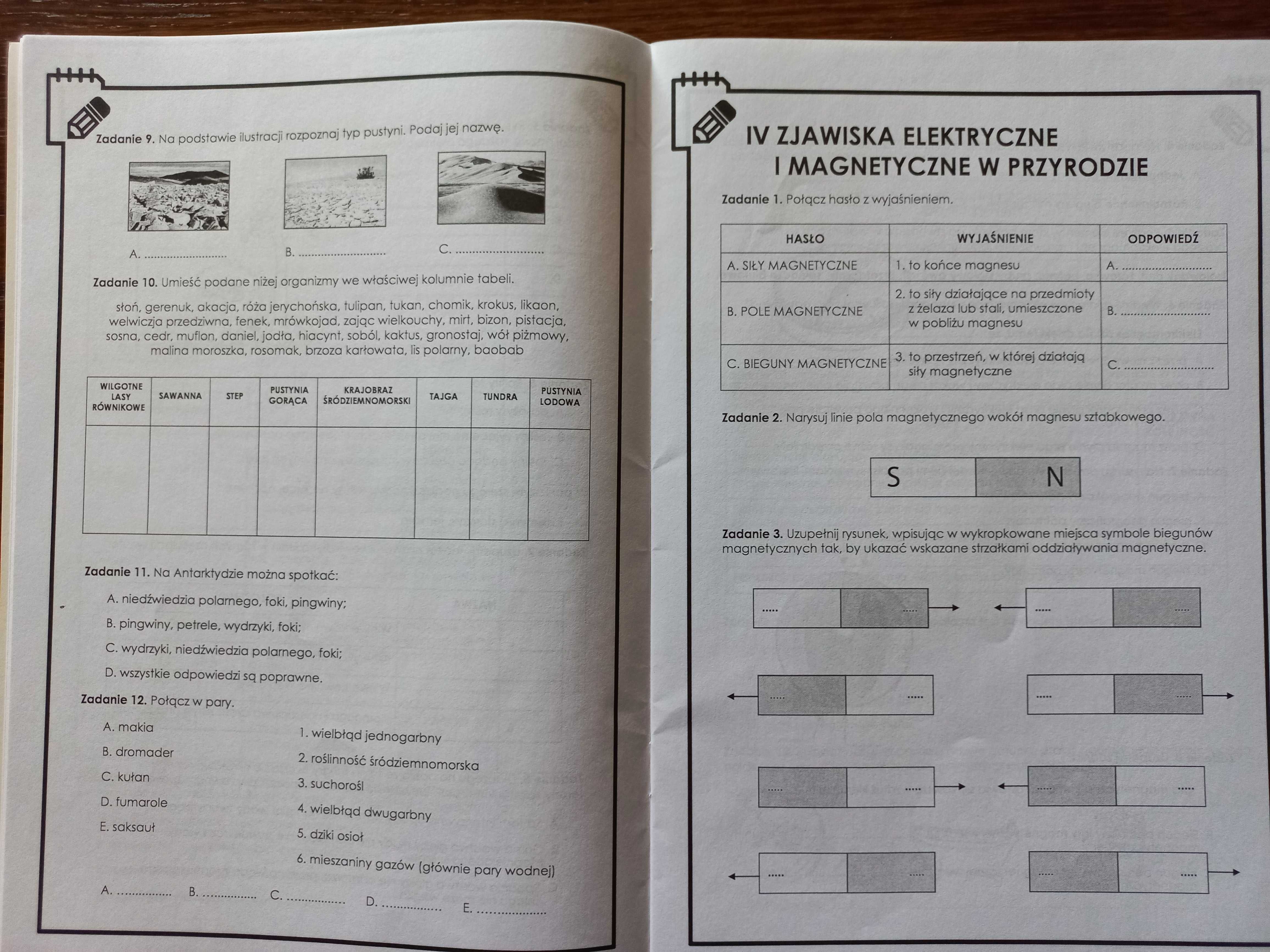 Sukces w nauce - Sprawdziany przyroda klasa VI - wyd. Literat