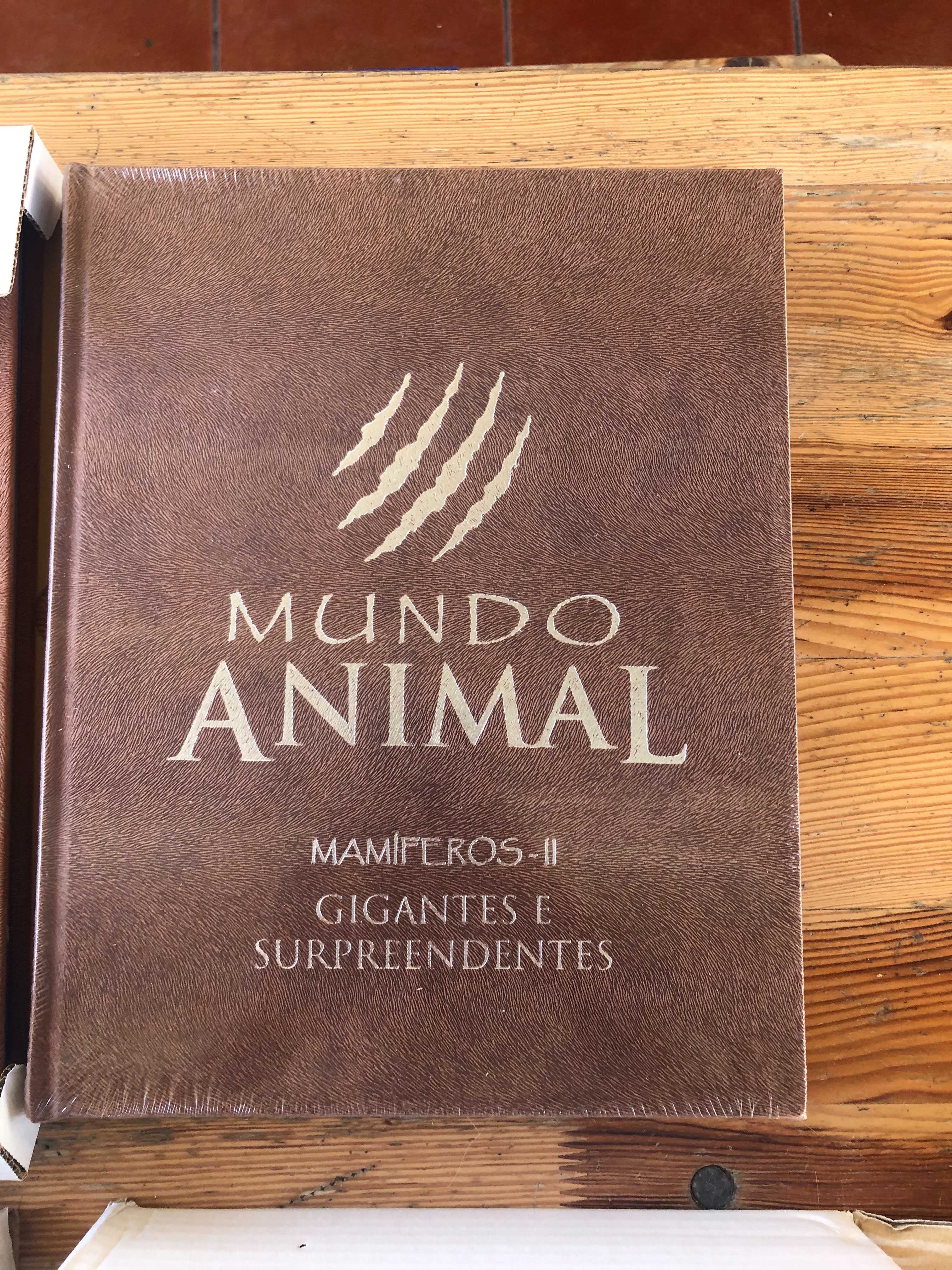 Coleção Livros Mundo Animal Novos