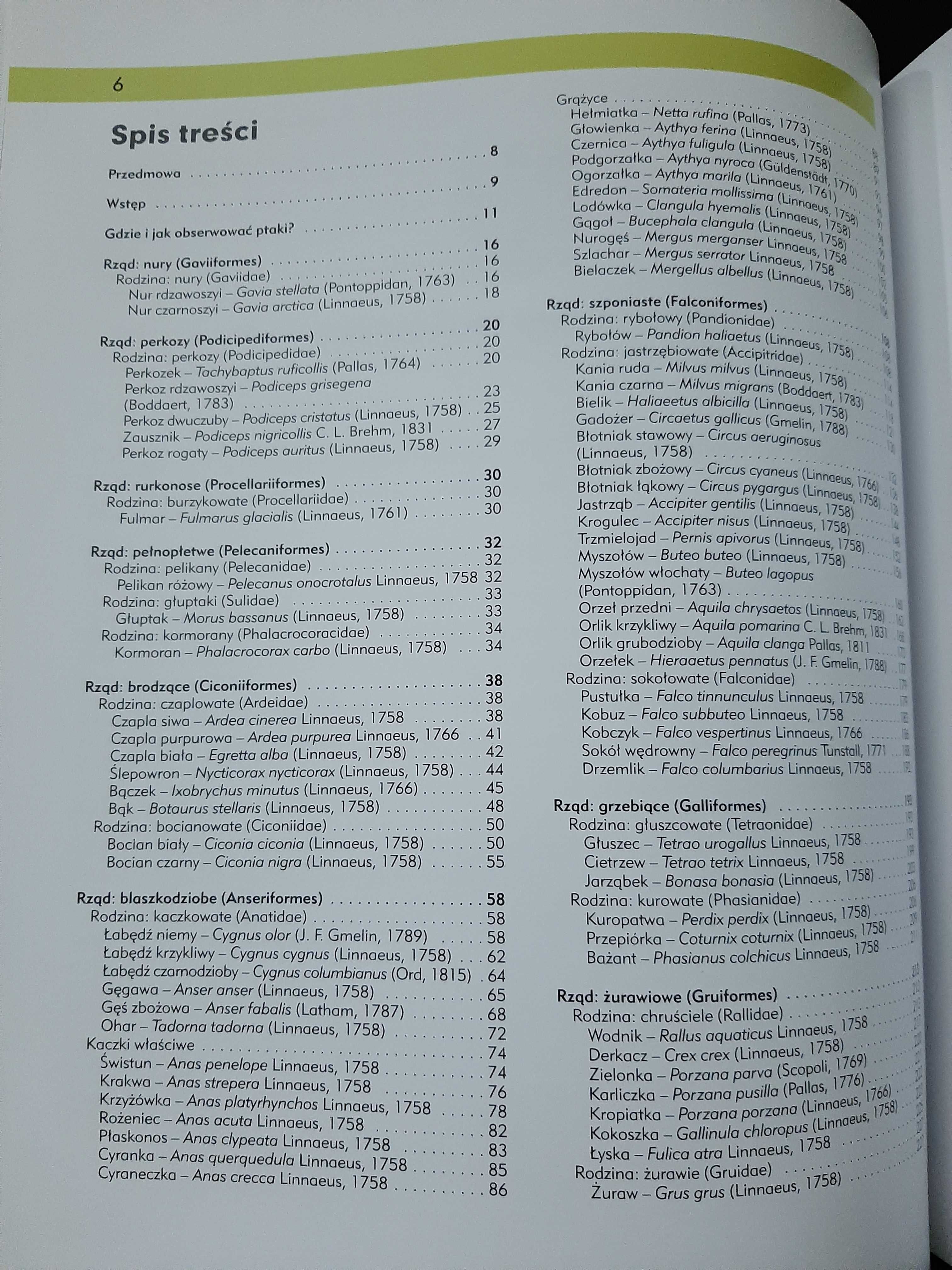 Ptaki Polski Andrzej Kruszewicz T1 + CD