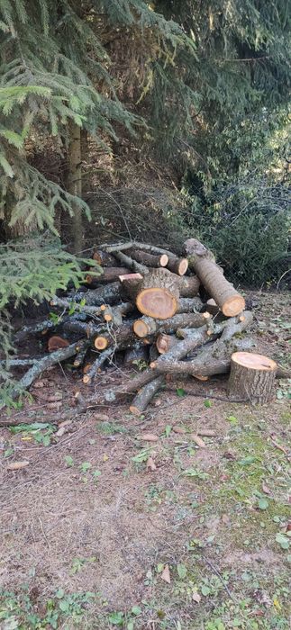 Drewno owocowe do wędzenia.