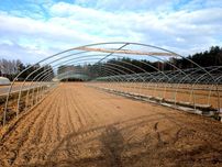 Tunel foliowy EkoTunele 7.5x2.9x30 wysoce odporny na warunki pogodowe