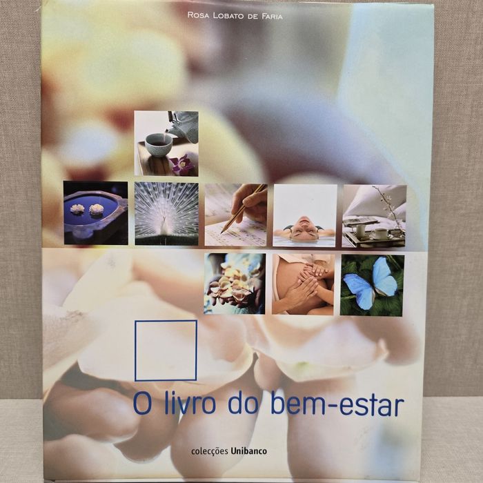 O Livro do bem-estar de Rosa Lobato Faria