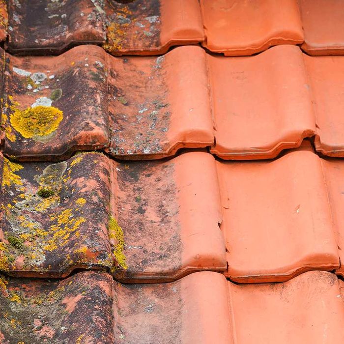 Telhados - Limpeza e Renovação - Grande Porto