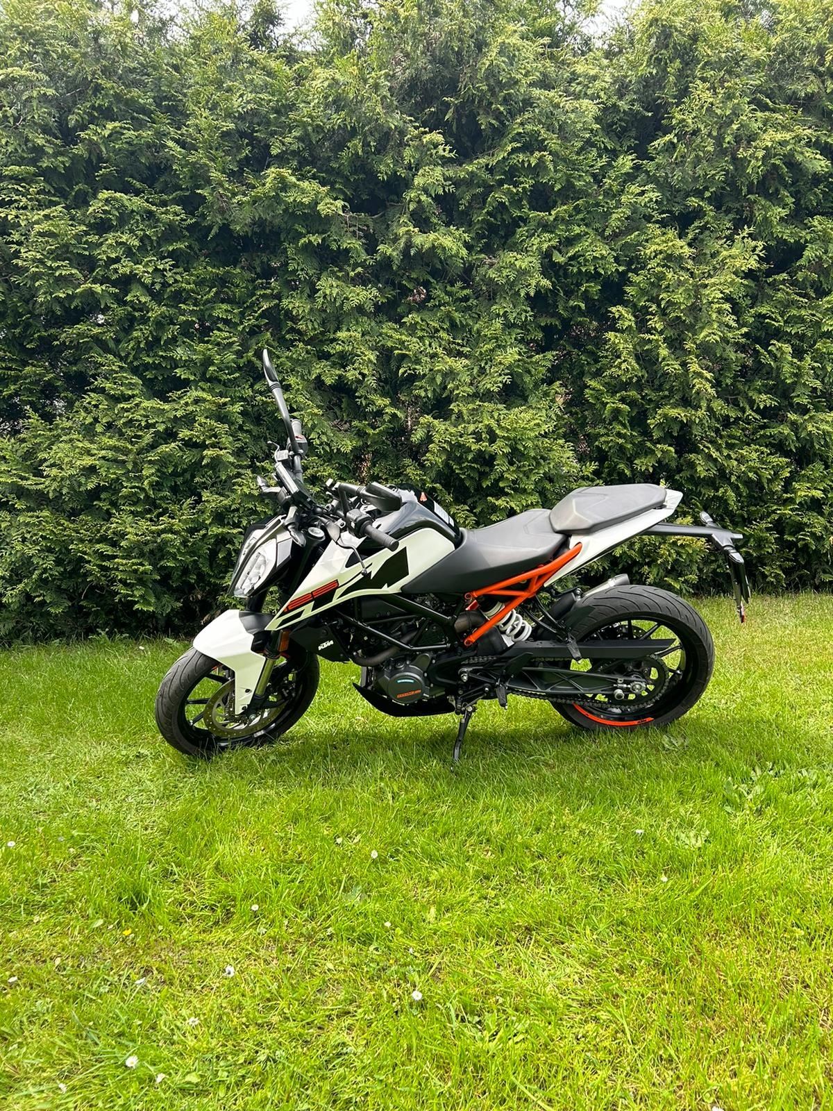 KTM Duke 125 R 2019