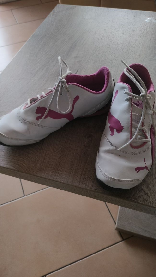 Buty sportowe puma