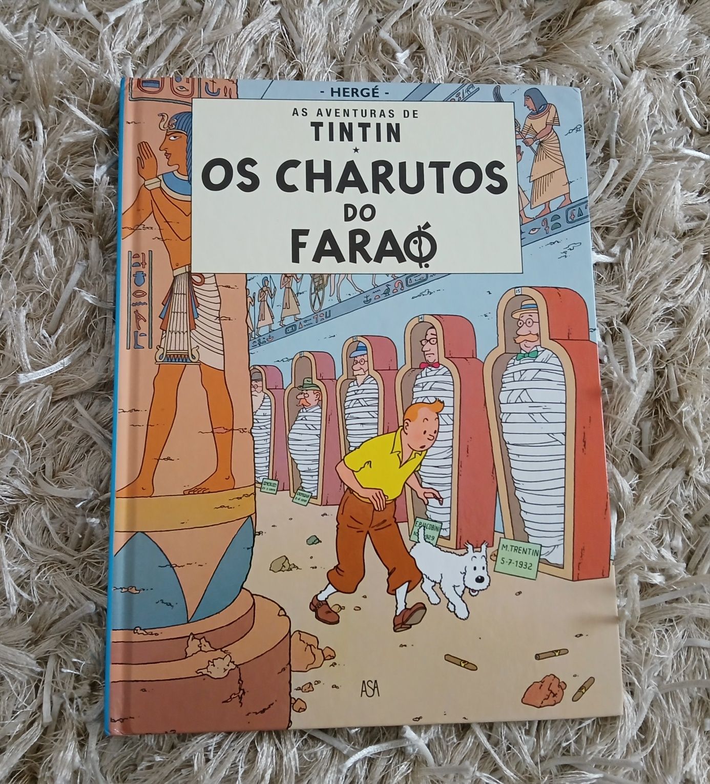 Variados livros como novos