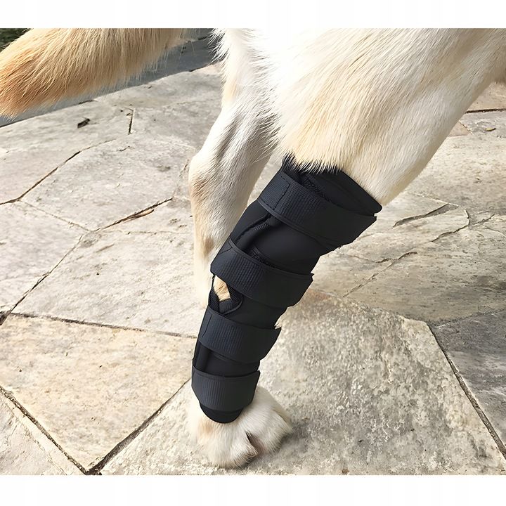 Orteza Dla Psa Stabilizator Stawu Skokowego Roz Xl