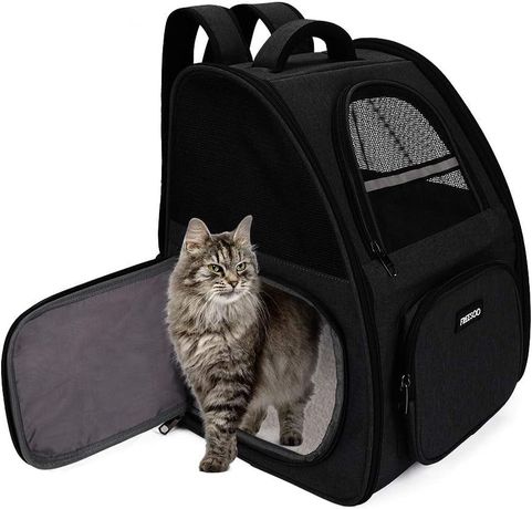 Transporter dla kota dla psa plecak dla kota nosidełko