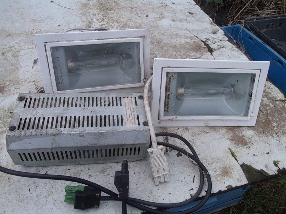 Lampy z żarnikami i czujnikami ruchu