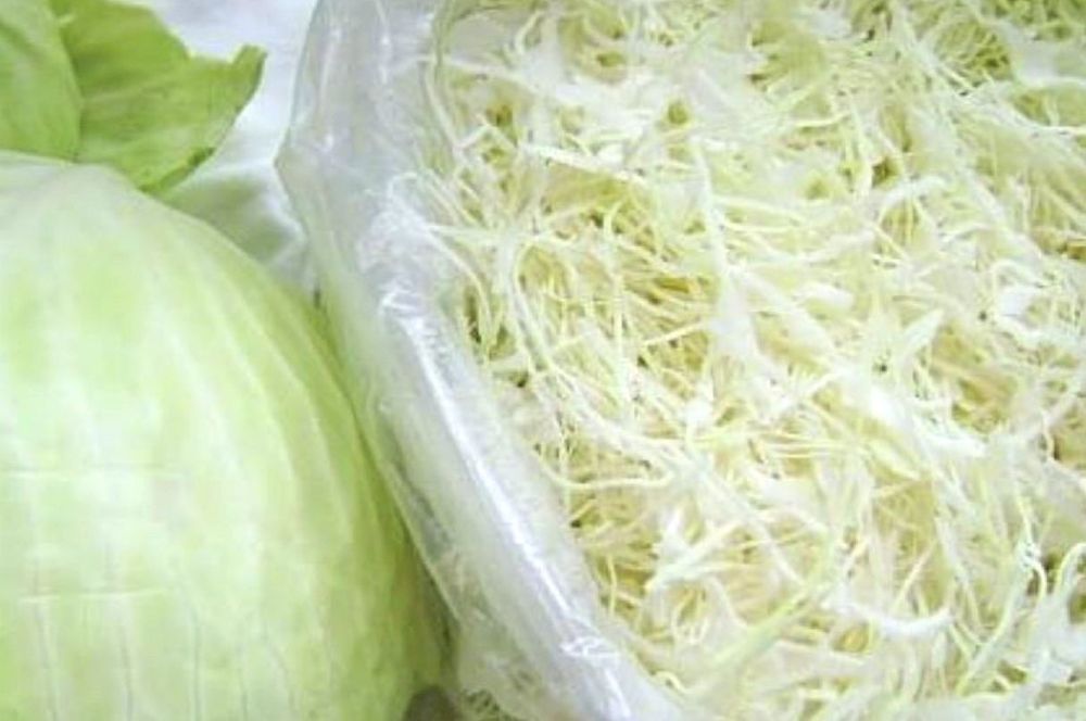 Kapusta szatkowana do kiszenia