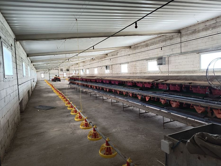 Ферма для вирощування птиці.