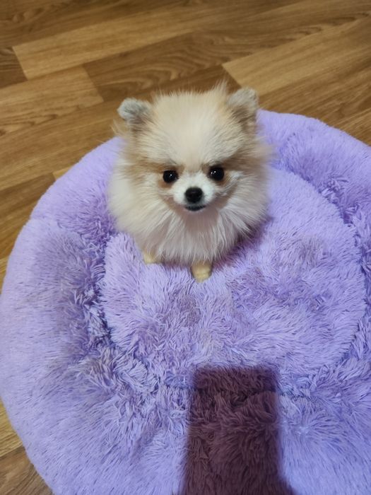 Супер мини девочка