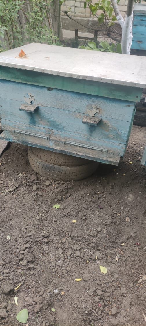 Продаю вулики для бджільництва