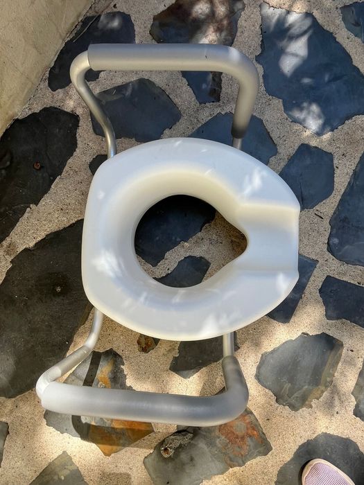 Cadeira sanitaria