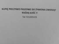 Pieczywo paszowe