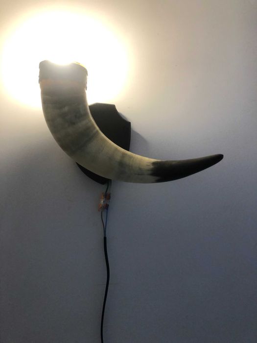 Kinkiety z rogów bawolich – komplet dekoracyjny, vintage