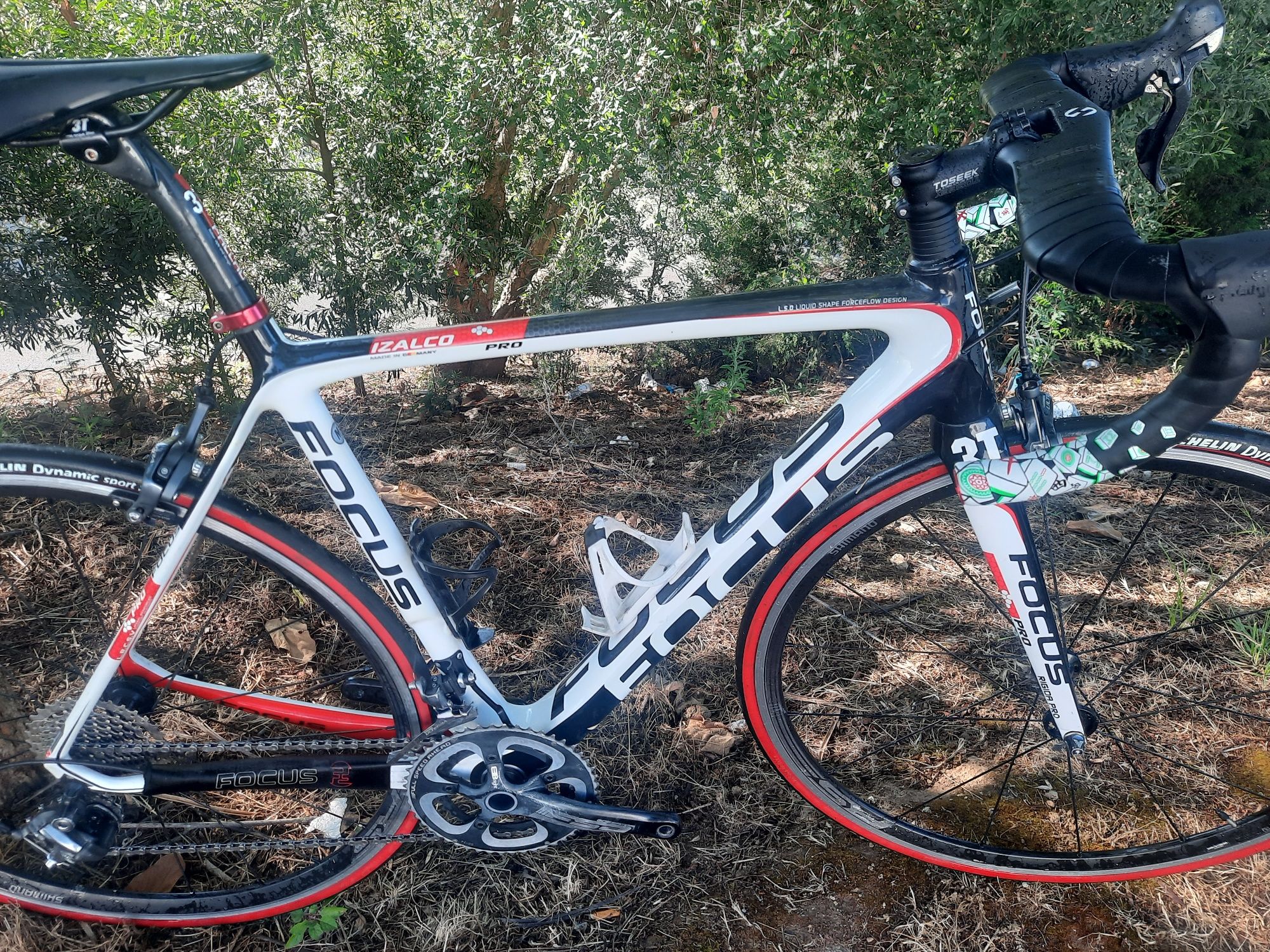 Focus izalco de estrada m ultegra