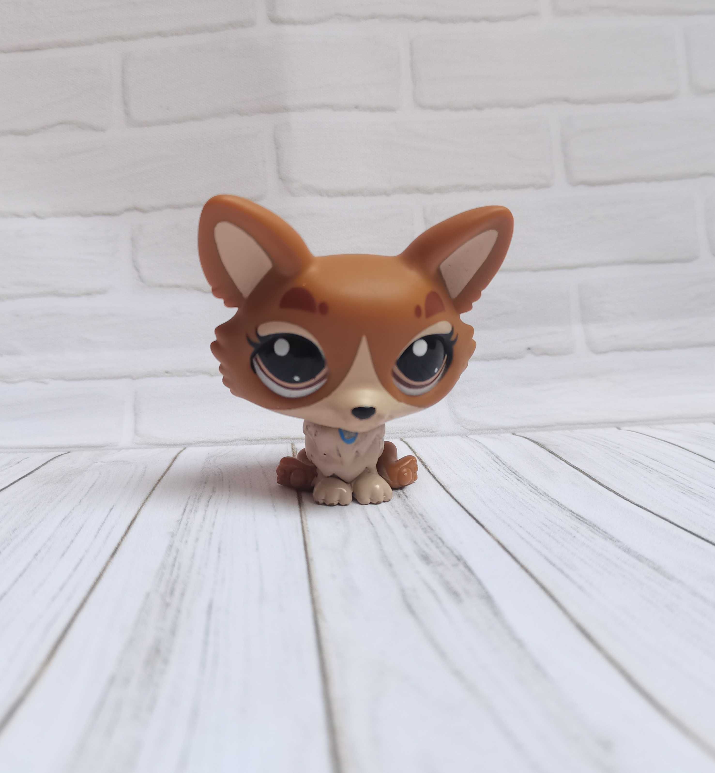 Figurka Littlest Pet Shop (LPS, Hasbro) - pies, piesek Corgi (#A7019)