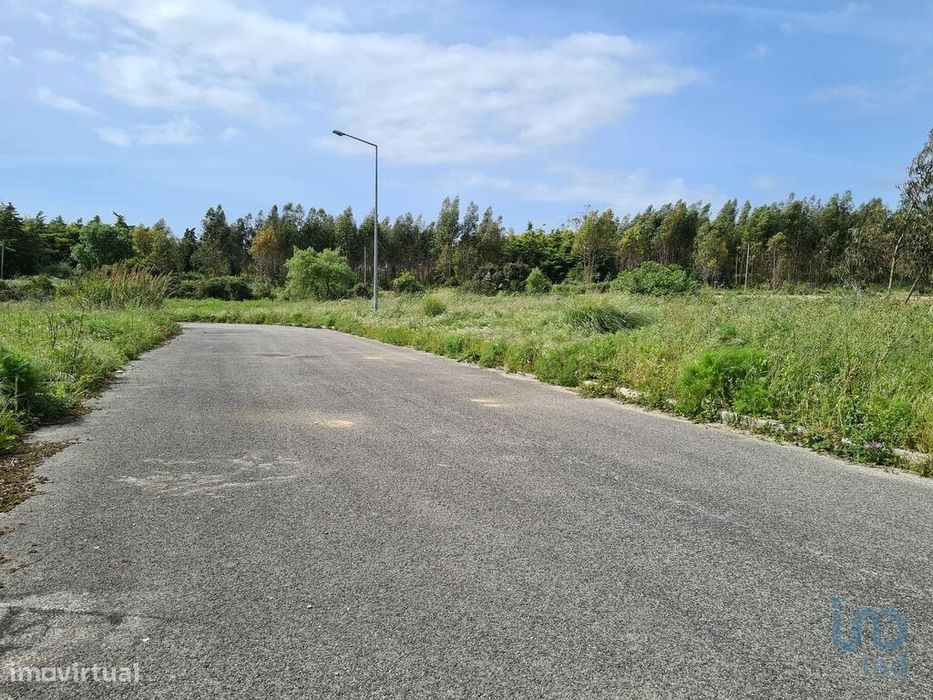 Terreno para construção em Santa Maria, São Pedro e Sobral da Lagoa de