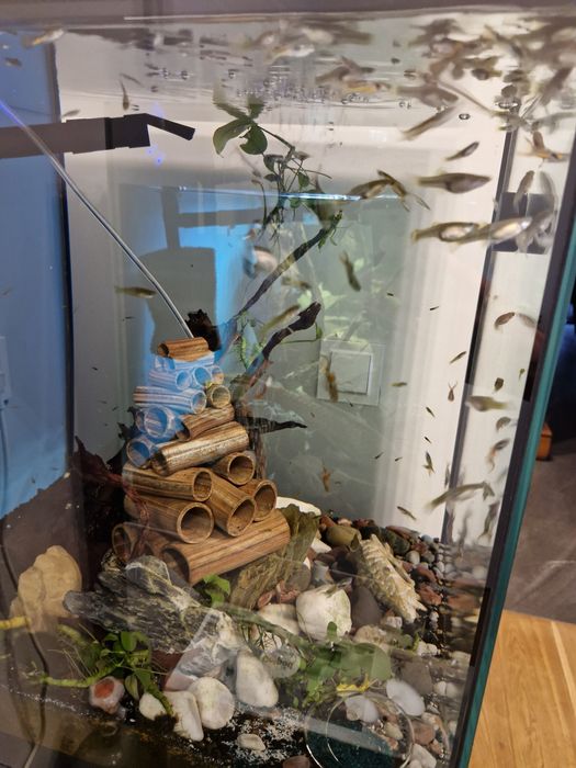 Akwarium 160 z szafką i wyposażeniem