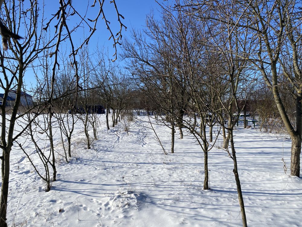 Продам земельну ділянку