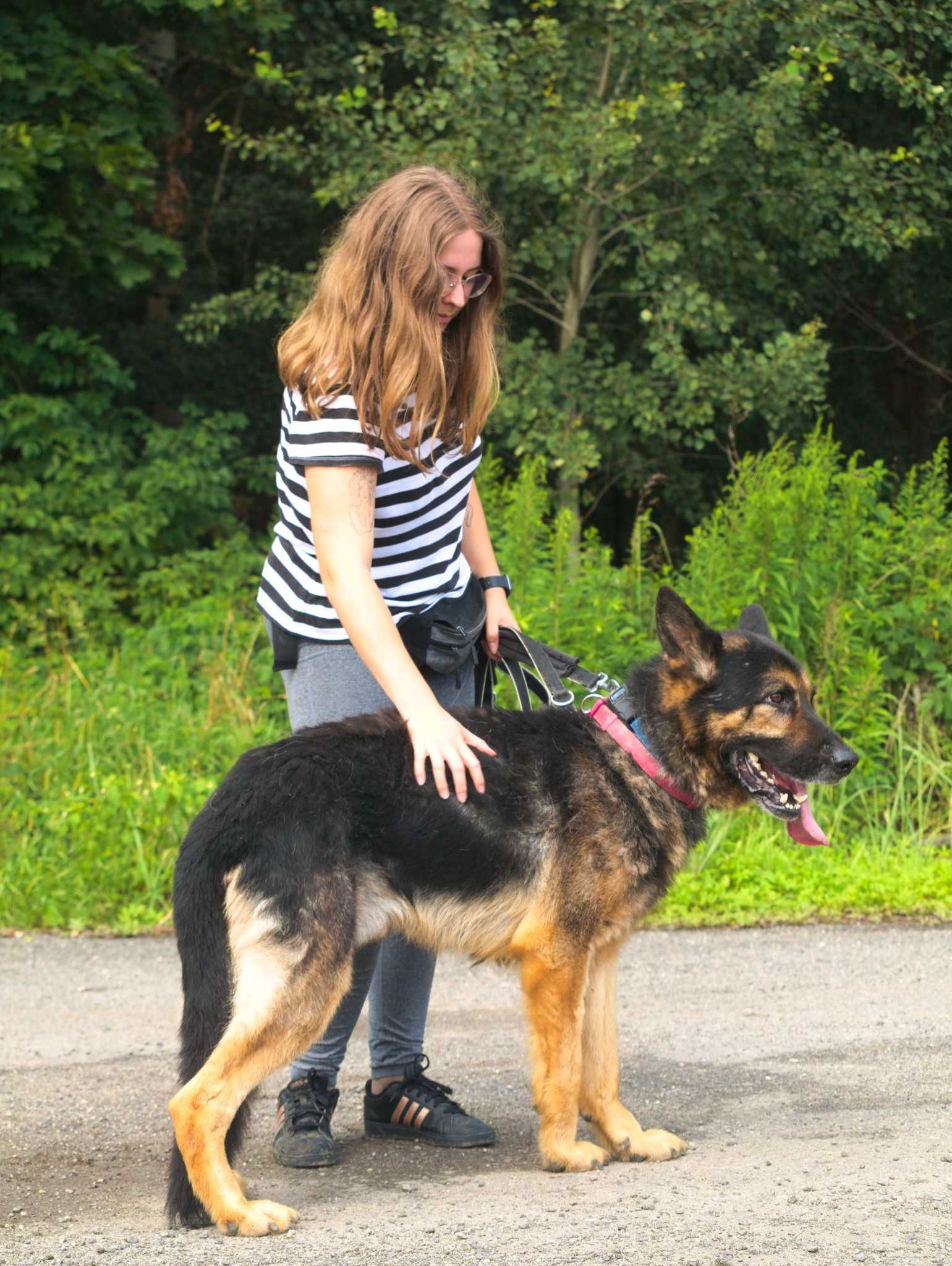 Hades - uroczy psiak, którego nikt nie dostrzega - do adopcji.