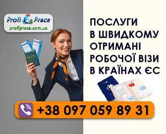 Виза, карта побыта, легализация и работа в Европе