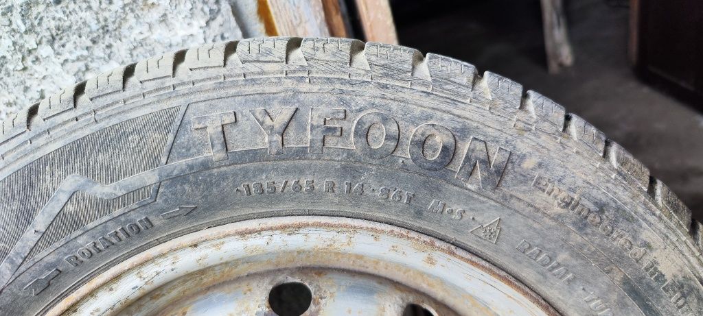 Шина Tyfoon 185/65R14