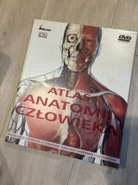 Atlas anatomii człowieka z DVD nowa
