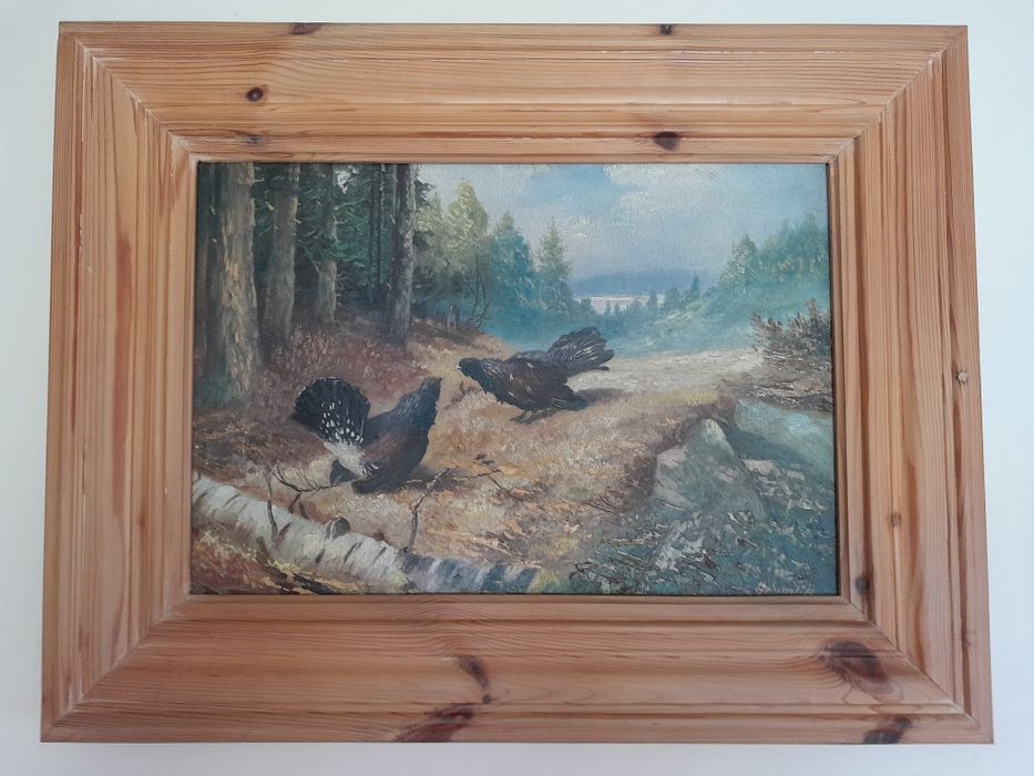 Myślistwo, tok cietrzewi.