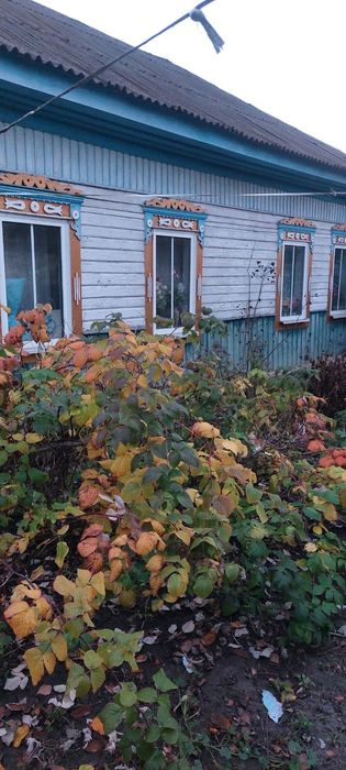 Великий затишний дім для життя, будинок з усіма зручностями