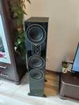 Magnat signature 507