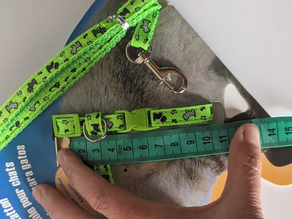 Поводок і ножиці для котиків