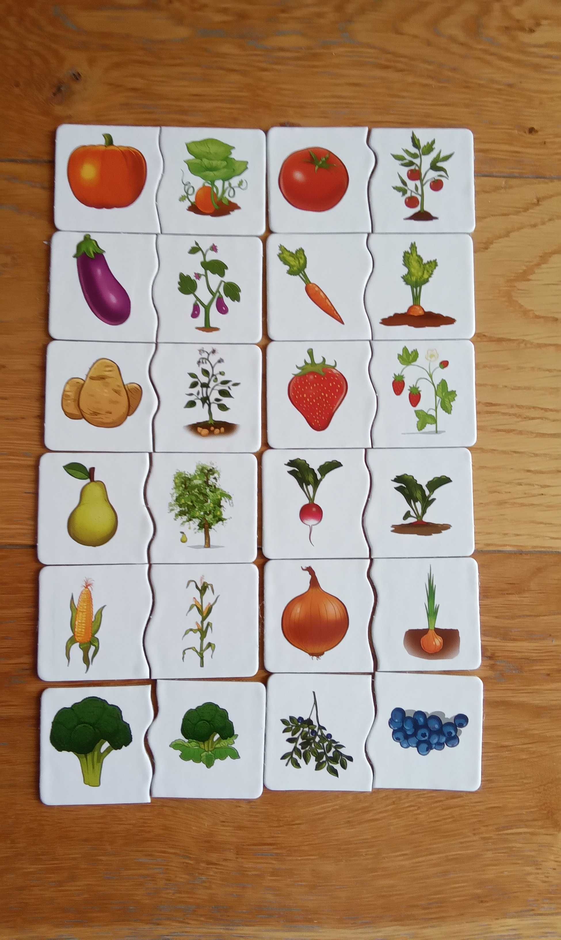 Alexander gra edukacyjna puzzle warzywa i owoce