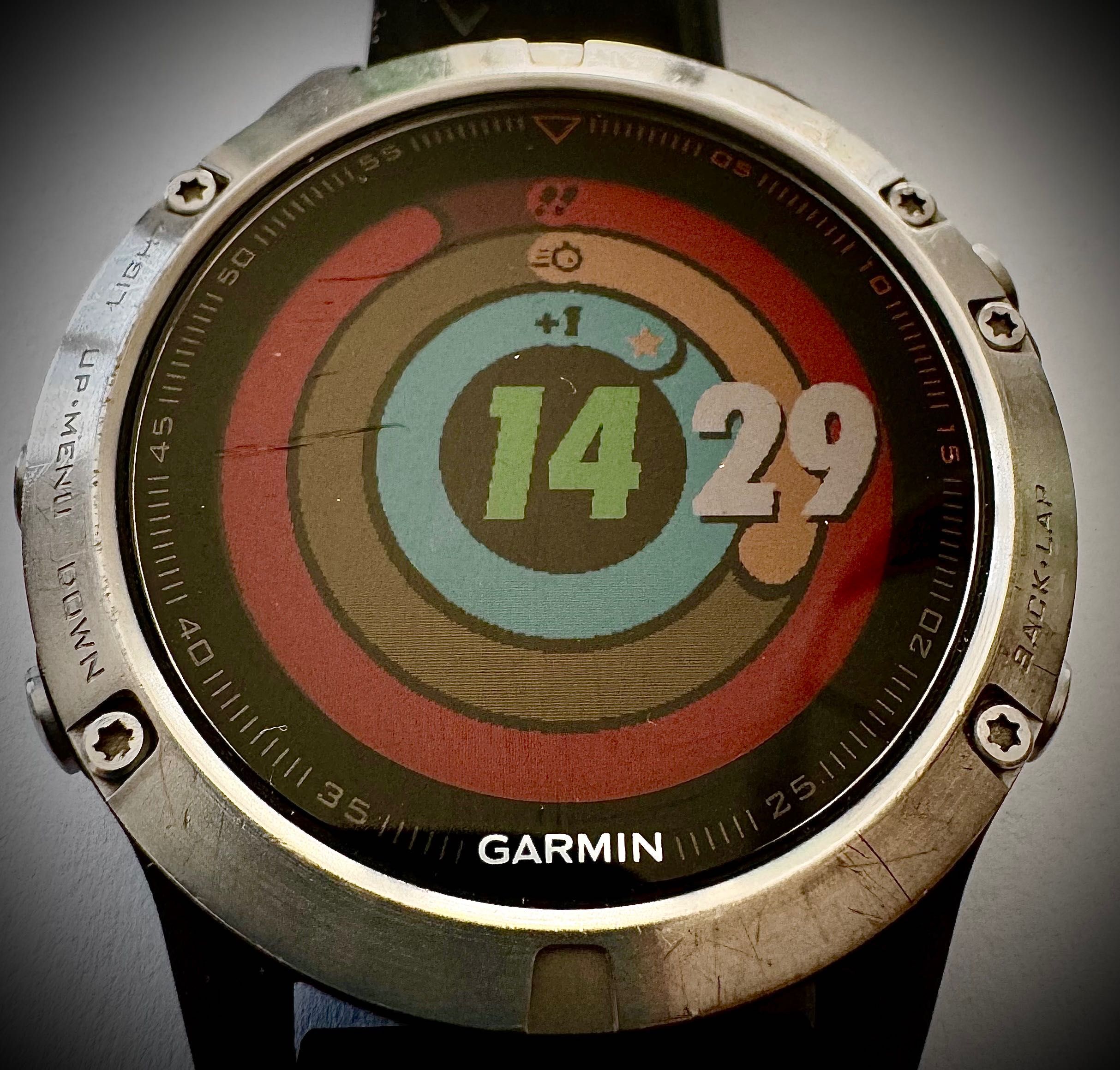 smartwatch Garmin Fenix 5