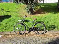 Bicicleta tipo holandesa nova