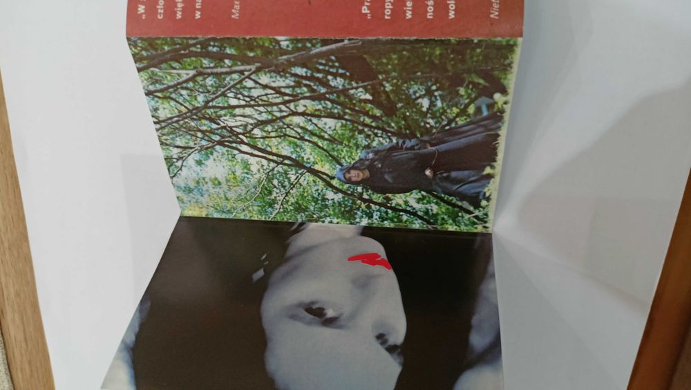 Kaseta magnetofonowa Martyna Jakubowicz