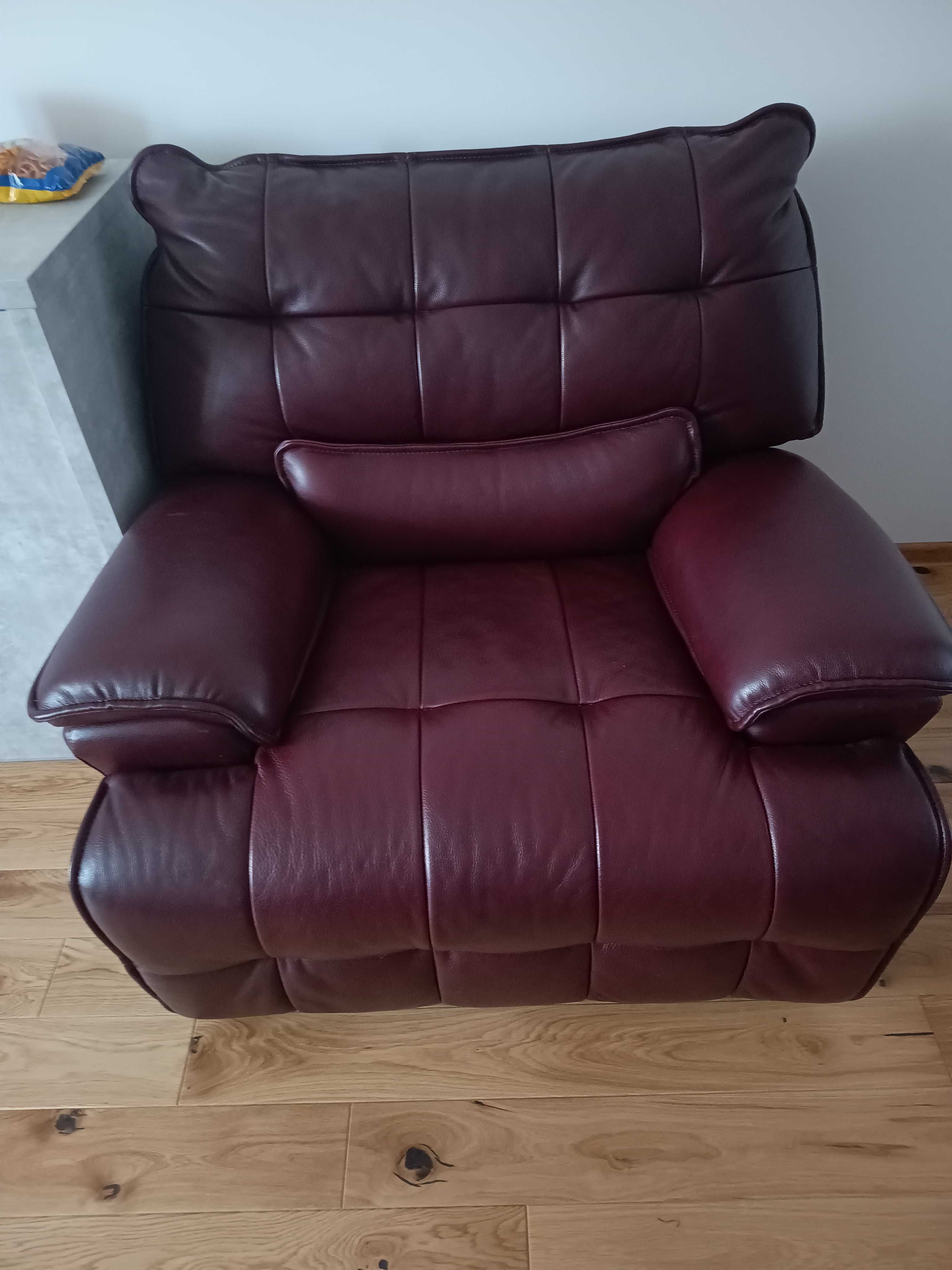 Elektryczna Skórzana Sofa i Fotel SOFOLOGY