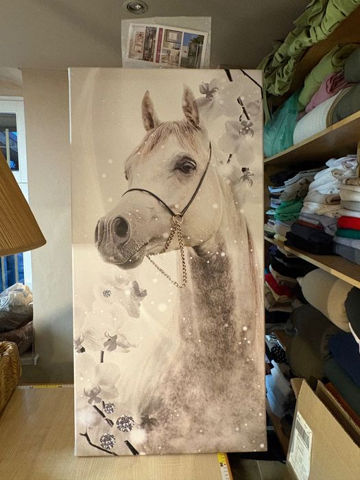 Obraz konia na płótnie canvas