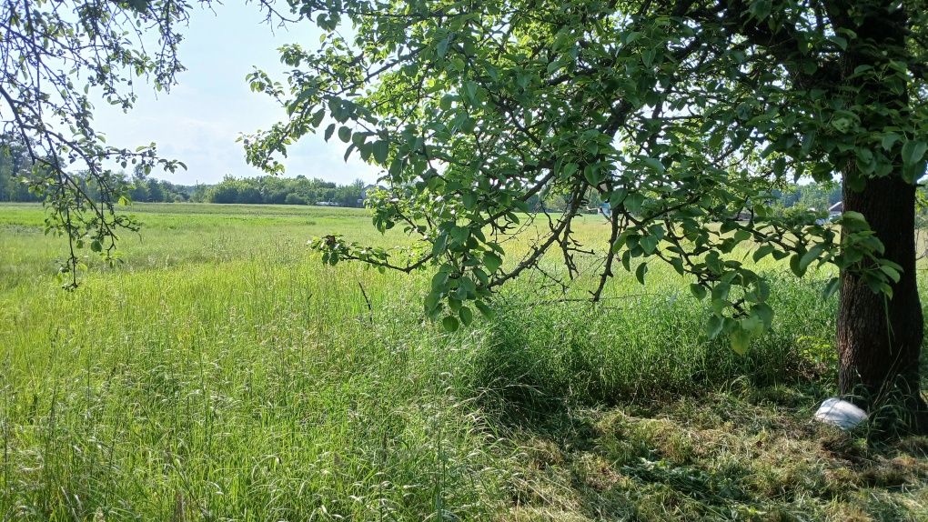 Продам будинок в с.Рудня-Городище
