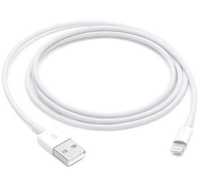 Apple Lightning to USB Cable 1m