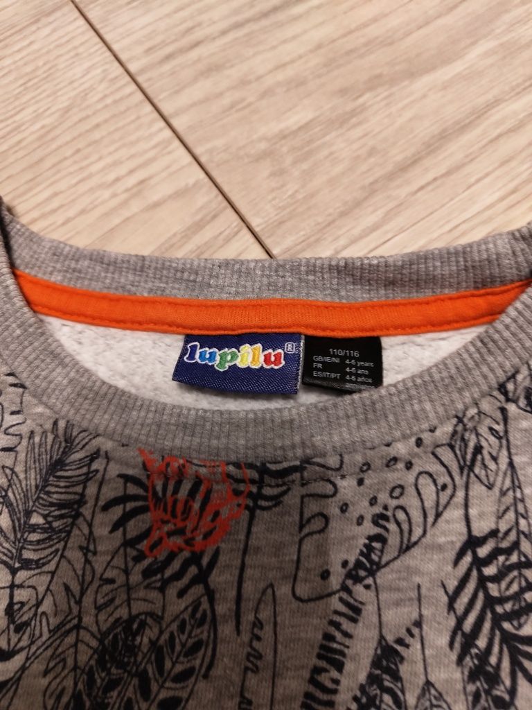 Bluza chłopięca Lupilu 110/116