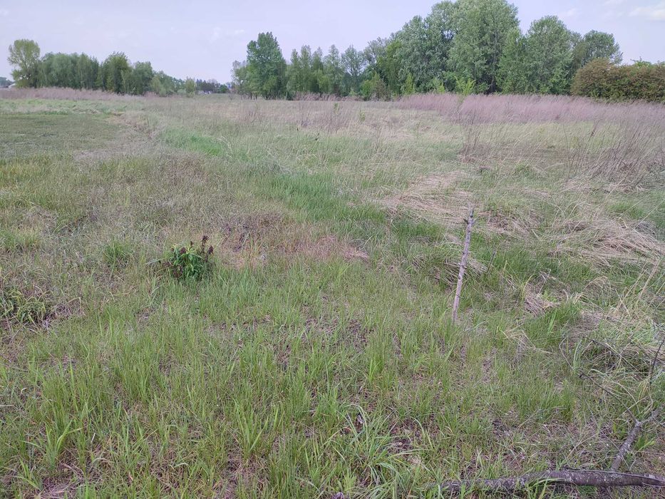 Продам земельну ділянку