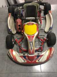 Gokart easy kart 60 cc Birel