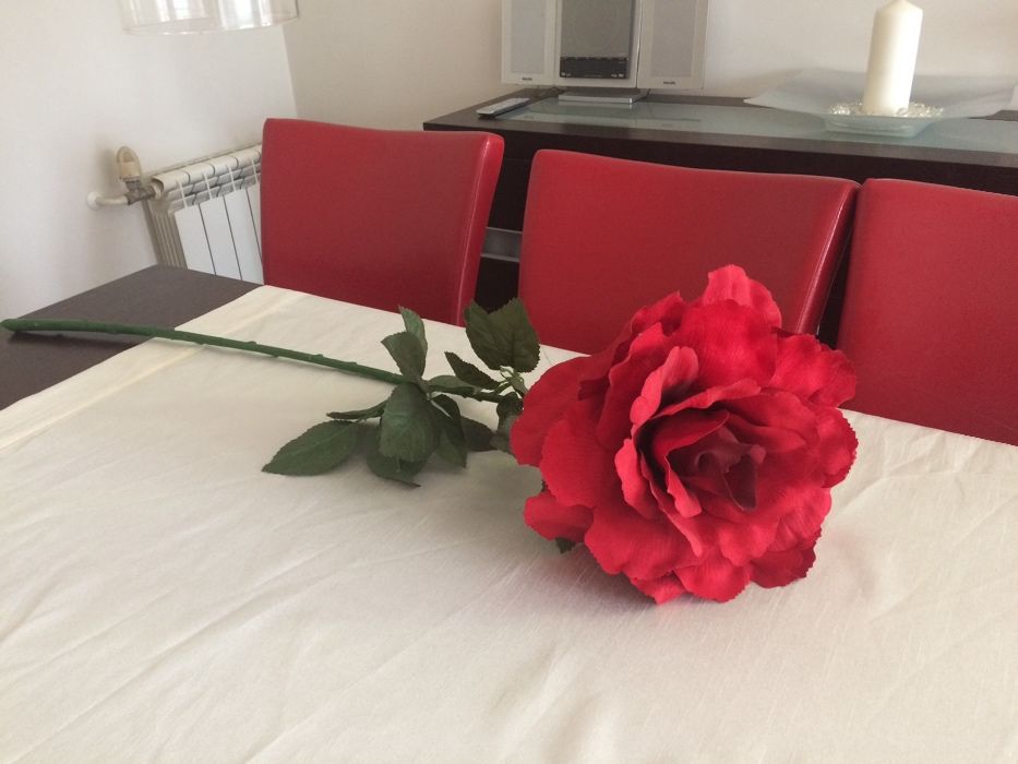 Obraz i czerwony kwiat Ikea