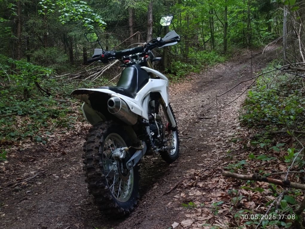 Hornet Dakar pro