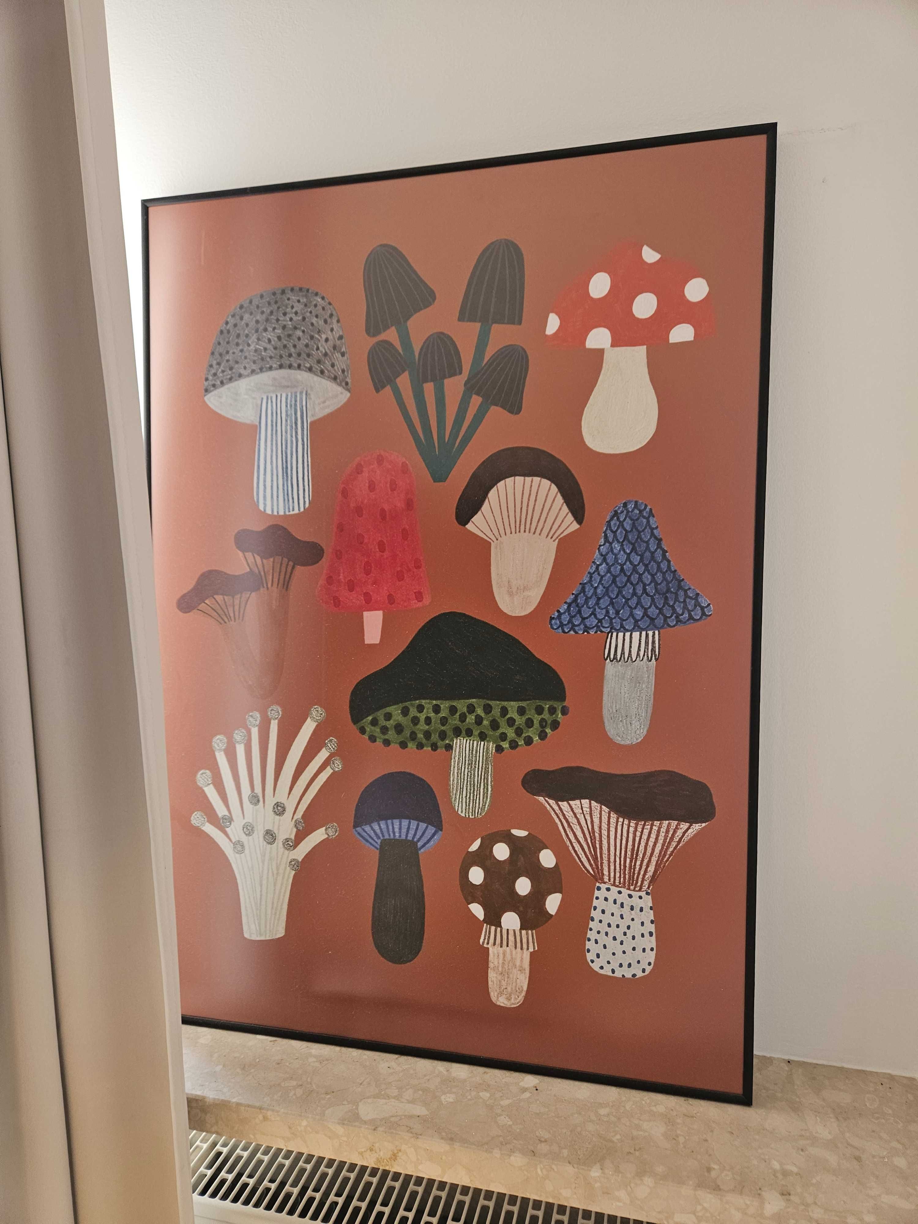 Plakat Grzyby Daria Solak Wallbeing