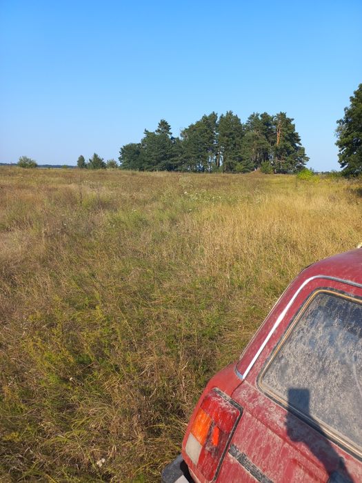 Земельна ділянка